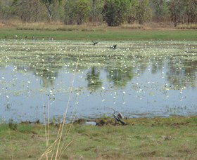 Leaning Tree Lagoon Nature Park - Accommodation Port Macquarie 0