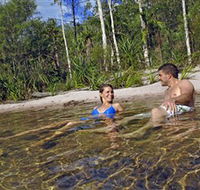 Tjaynera/Sandy Creek Falls - Accommodation Port Macquarie
