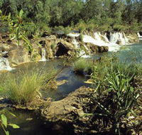 Flora River Nature Park - Accommodation Port Macquarie