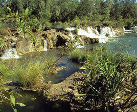 Flora River Nature Park - Accommodation Port Macquarie 0