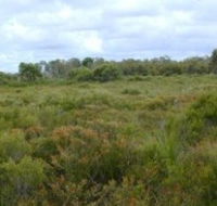 Pine Ridge Conservation Park - Accommodation Port Macquarie