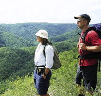 Sunshine Coast Hinterland Great Walk - Accommodation Port Macquarie