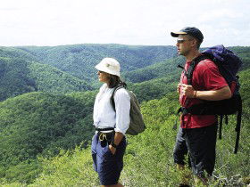 Sunshine Coast Hinterland Great! Walk - Accommodation Port Macquarie 0