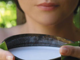 Ikatan Day Spa - Accommodation Port Macquarie 0