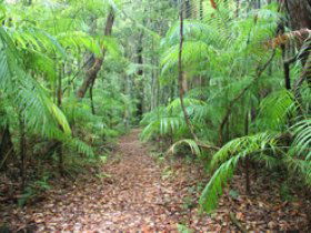 Mapleton QLD Accommodation Port Macquarie