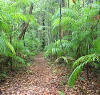 Delicia Road Conservation Park - Accommodation Port Macquarie