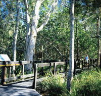 Kinaba Track - Accommodation Port Macquarie