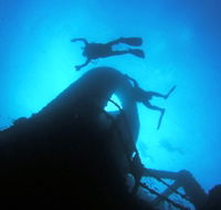 Ex HMAS Brisbane Dive Site - Accommodation Port Macquarie