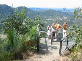 Mapleton Forest Reserve - Accommodation Port Macquarie 0