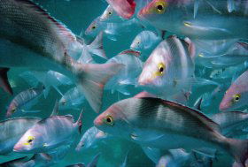  Accommodation Port Macquarie