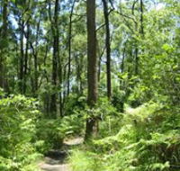 Mapleton Falls National Park - Accommodation Port Macquarie