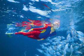Great Detached Reef Dive Site - Accommodation Port Macquarie 0