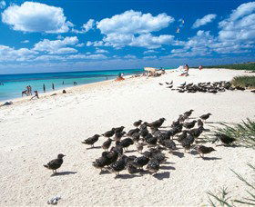 Michaelmas And Upolo Cays National Park - Accommodation Port Macquarie 0