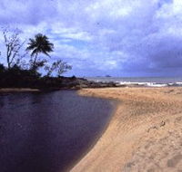 Russell River National Park - Accommodation Port Macquarie