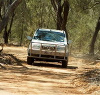 Ward River 4x4 Stock Route Trail - Accommodation Port Macquarie