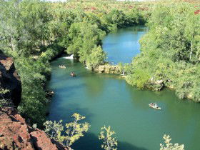 Wild Dog Dreaming, Boodjamulla (Lawn Hill) National Park - Accommodation Port Macquarie 0