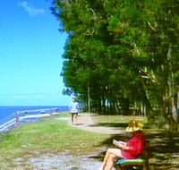 Melaleuca Track - Accommodation Port Macquarie