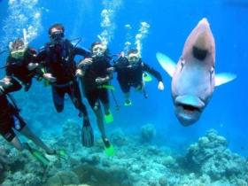 Gotham City Dive Site - Accommodation Port Macquarie 0