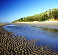 Burrum Coast National Park - Accommodation Port Macquarie