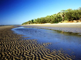 Burrum Coast National Park - Accommodation Port Macquarie 0