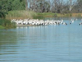  Accommodation Port Macquarie