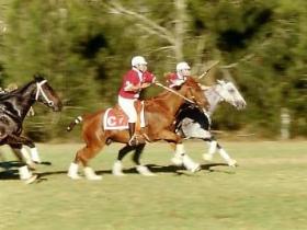 Willowvale QLD Accommodation Port Macquarie