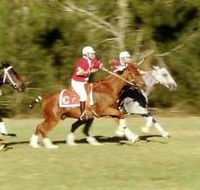 Morgan Park - Accommodation Port Macquarie