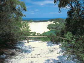 Lake Wabby Track - Accommodation Port Macquarie 0