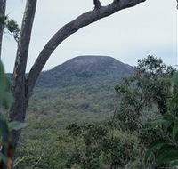 Mount Fox - Accommodation Port Macquarie