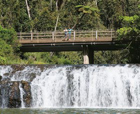 Malanda Falls Conservation Park - Accommodation Port Macquarie 0