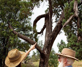 Charleville - Outback Native Timber Walk - Accommodation Port Macquarie 0