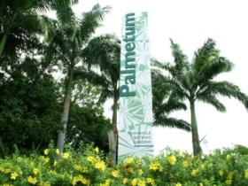 Townsville Palmetum - Accommodation Port Macquarie 0