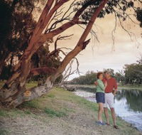 The Looking Glass - Accommodation Port Macquarie