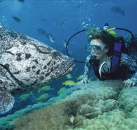 Pelorus Island - Accommodation Port Macquarie
