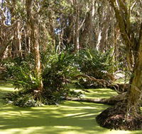 Arkarra Lagoons and Tea Gardens - Accommodation Port Macquarie