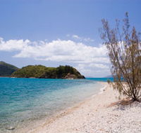 Paddle Bay Track and Campsite - Accommodation Port Macquarie