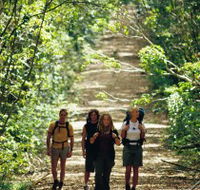 Wet Tropics Great Walk - Accommodation Port Macquarie