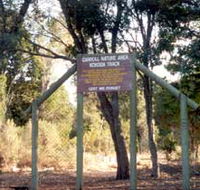 Carroll Nature Reserve Kokoda Track - Accommodation Port Macquarie