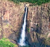 Buujan Quiinbiira Walk Wet Tropics Great Walk - Accommodation Port Macquarie