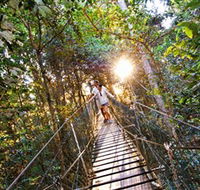 Tree Top Walkway - Accommodation Port Macquarie