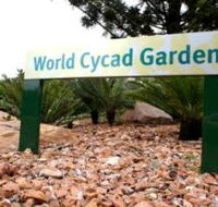 Anderson Park Botanic Gardens - Accommodation Port Macquarie
