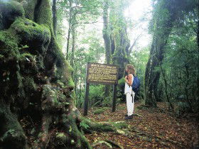 Tooloona Creek Circuit - Accommodation Port Macquarie 0