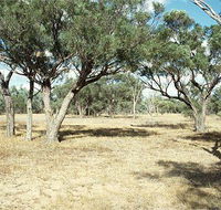 Forest Den National Park - Accommodation Port Macquarie