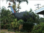 The Big Cassowary - Accommodation Port Macquarie 0