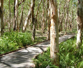 The Kommo Toera Trail - Accommodation Port Macquarie 0