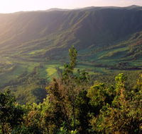 Pine Grove Circuit - Accommodation Port Macquarie