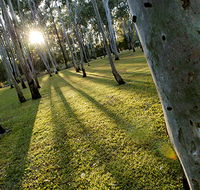 Tondoon Botanic Gardens - Accommodation Port Macquarie