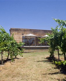 Shantell Vineyard - Accommodation Port Macquarie 0