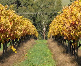 Wild Dog Winery & Restaurant - Accommodation Port Macquarie 0