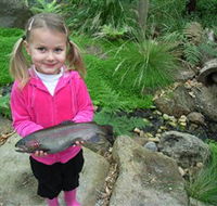 Wild Food Farm  Cafe - Accommodation Port Macquarie